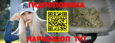 мяу мяу мука Лесосибирск