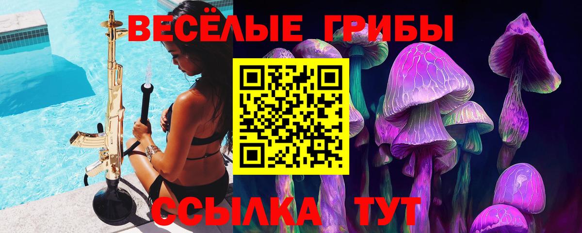Псилоцибиновые грибы Psilocybine cubensis Жигулёвск