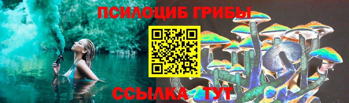 Жигулёвск  Псилоцибиновые грибы Psilocybe  Вход с VPN 